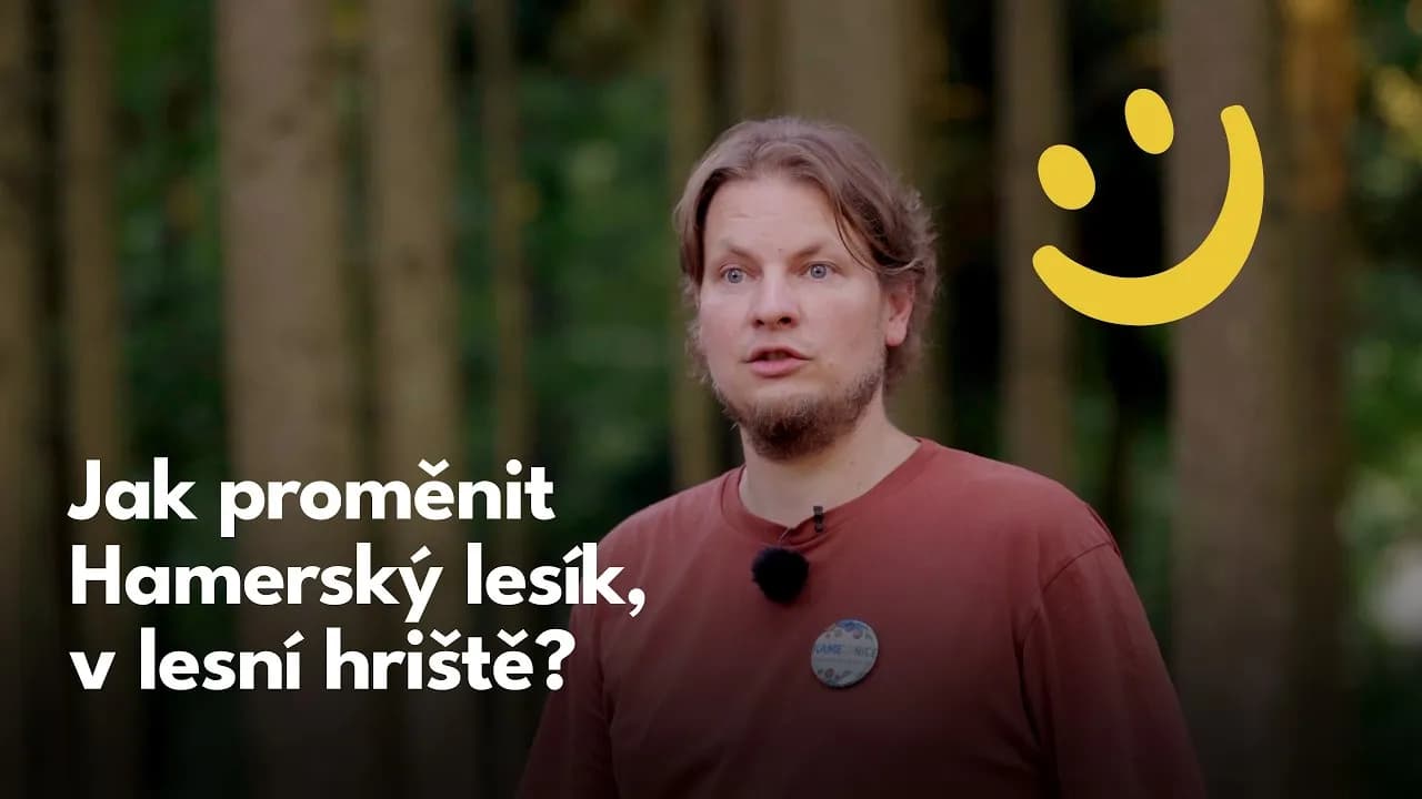 Hamerský lesík: místo pro setkávání, pohyb i odpočinek